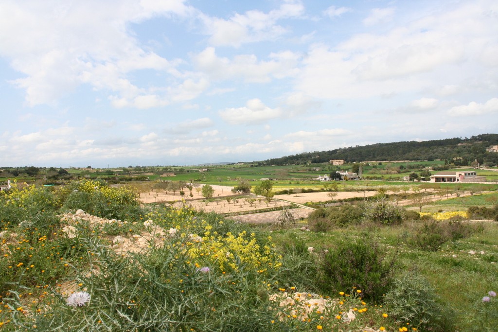 Grundstück nahe Porreres - Bauland mit Projekt und Lizenz