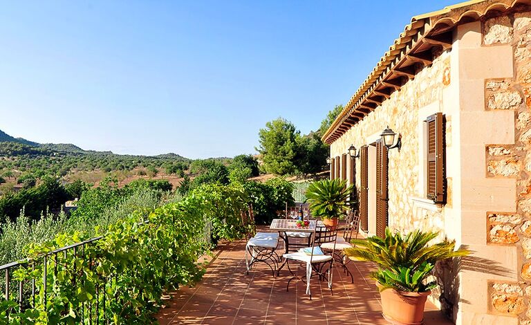 Charmante Finca mit Weinberg in Vall Dor 4