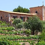 Charmante Finca mit Weinberg in Vall Dor 5