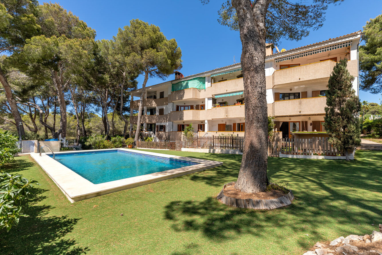 Apartment in Santa Ponsa - Gepflegte Anlage mit Gemeinschaftspool