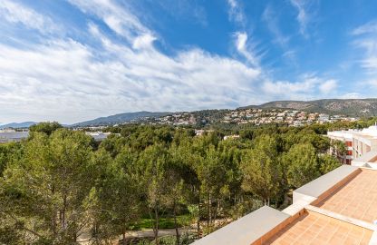 Penthouse zur Miete in Bendinat - Traumblick ins Grüne